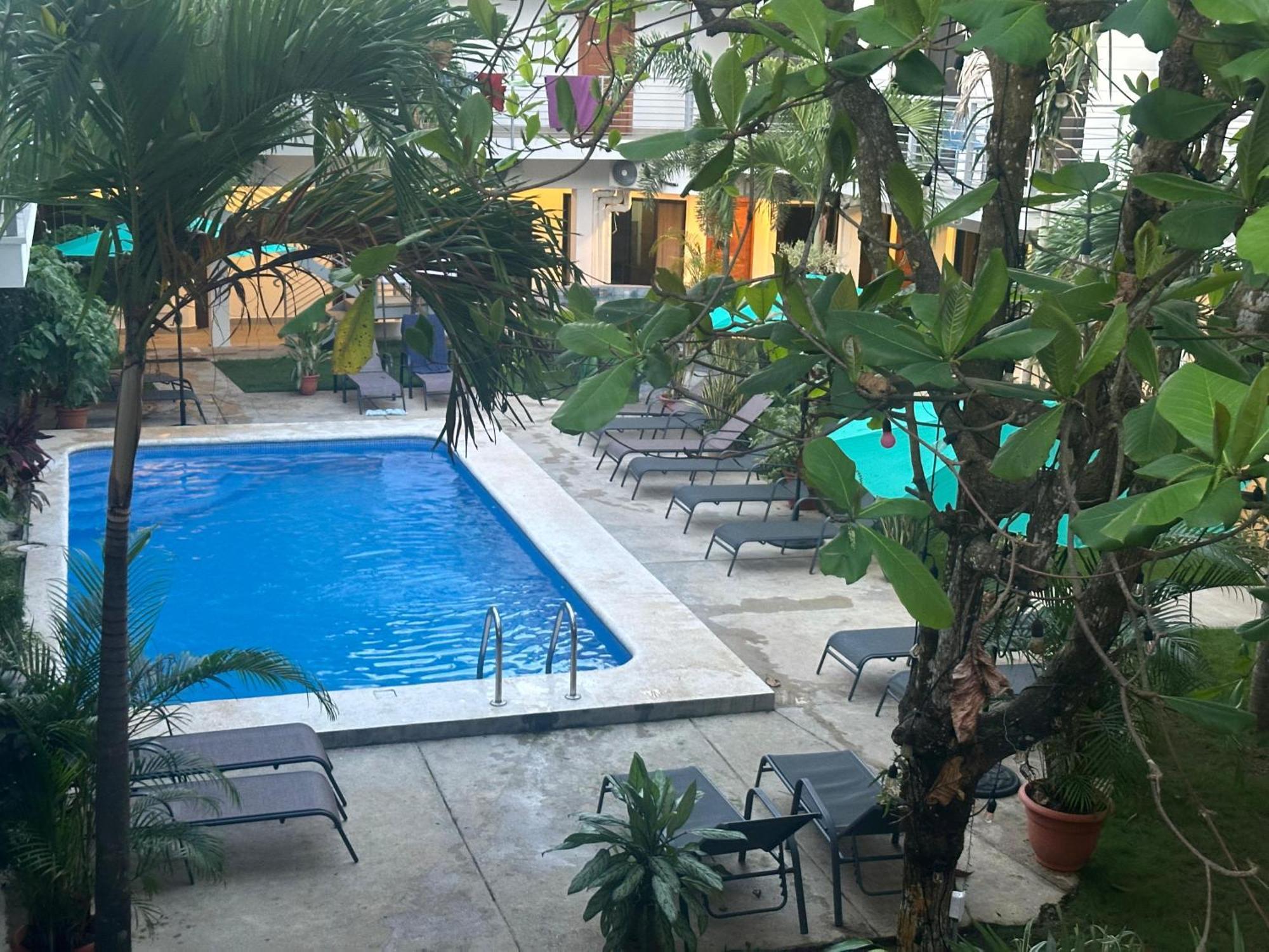 Private Fully Furnished Home At Wide Mouth Frog Hostel Quepos Exterior photo